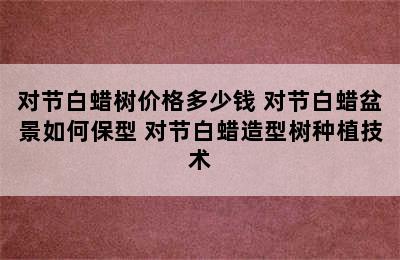 对节白蜡树价格多少钱 对节白蜡盆景如何保型 对节白蜡造型树种植技术